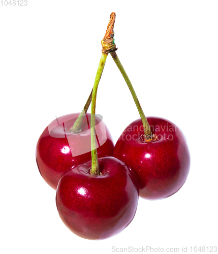 Image of Three organic sweet cherries isolated on a white background