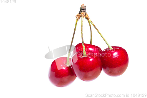 Image of Four organic sweet cherries isolated on a white background