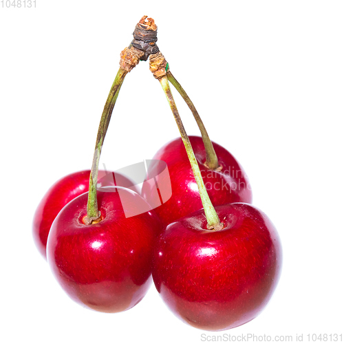Image of Four organic sweet cherries isolated on a white background