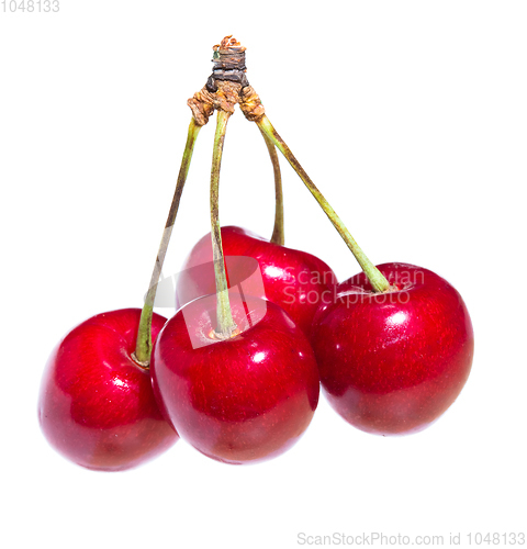 Image of Four organic sweet cherries isolated on a white background