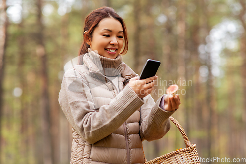 Image of asian woman using smartphone to identify mushroom