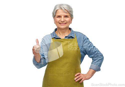 Image of senior woman in garden apron showing thumbs up