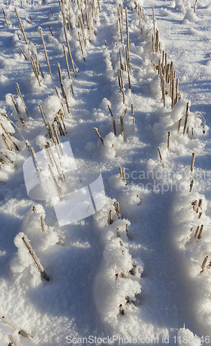 Image of agricultural field in winter