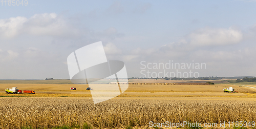 Image of two combine harvester