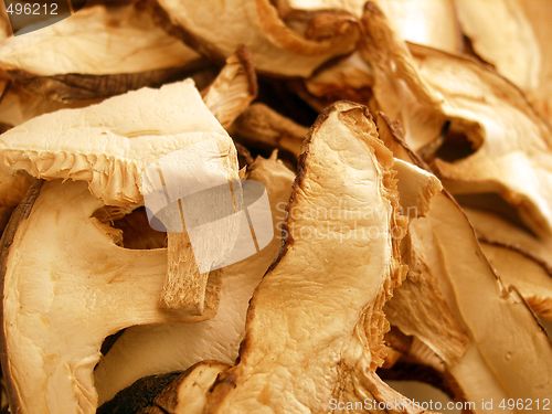 Image of shitake