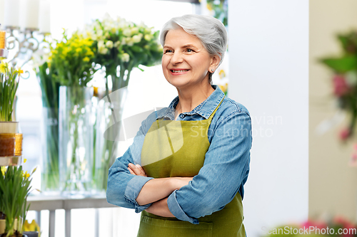 Image of portrait of smiling senior woman in garden apron