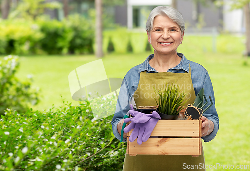 Image of smiling senior woman with garden tools in box