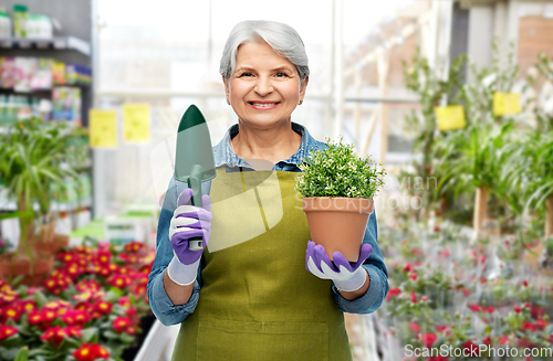 Image of old woman in garden apron with flower and trowel