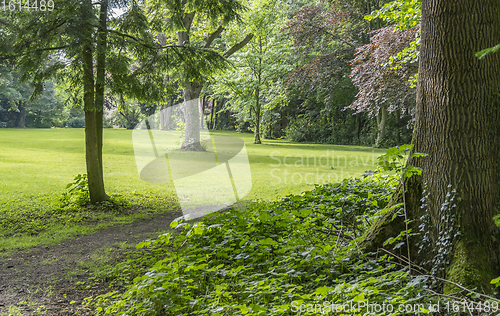 Image of idyllic park scenery