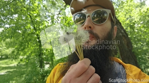Image of Portrait of a beard man blowing on the ripened dandelion. Slow motion video.