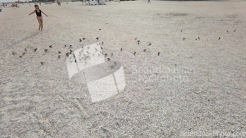Image of Kid girl on a beach play with birds flying near waterline of sea.