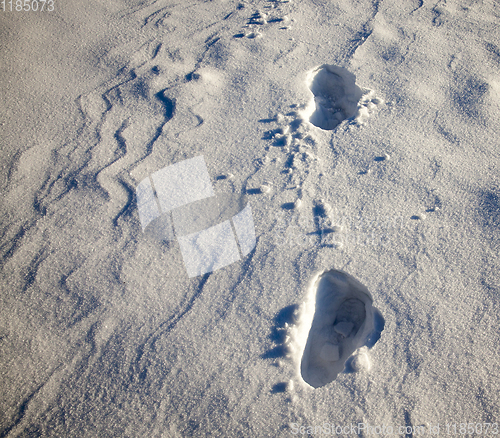 Image of deep snow drifts