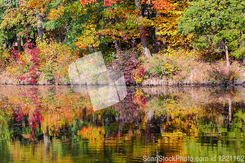 Image of autumn colored trees reflection in water