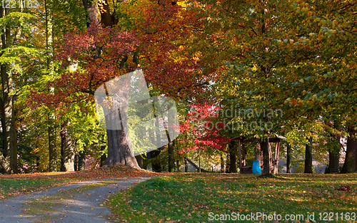 Image of autumn in park in fall season