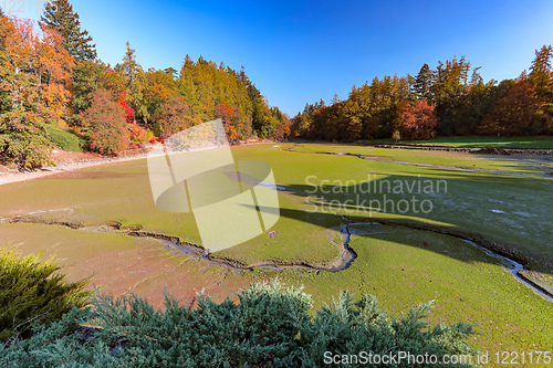 Image of empty pond after Fish harvest