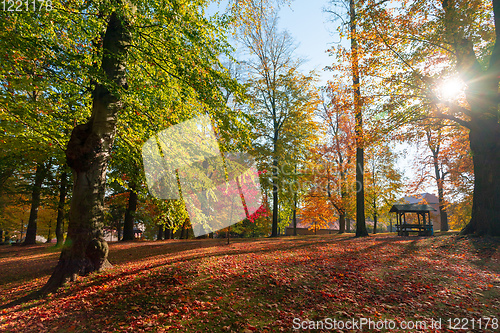 Image of autumn in park in fall season