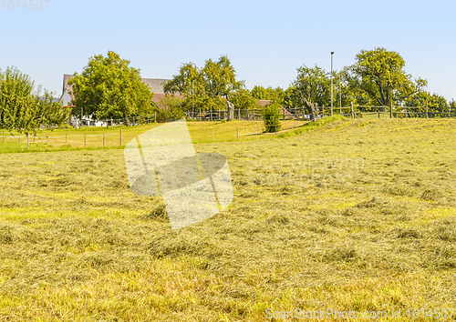 Image of rural scenery in Hohenlohe