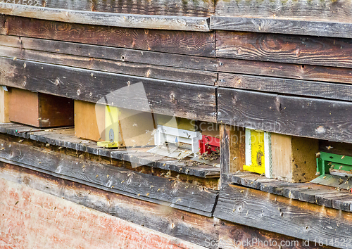 Image of Beehive and bees