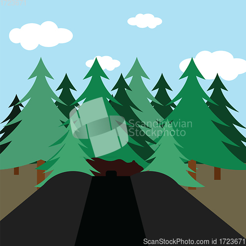 Image of Hunting in fir forest