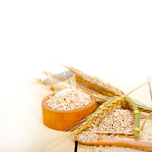 Image of organic barley grains