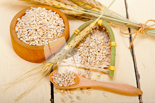 Image of organic wheat grains