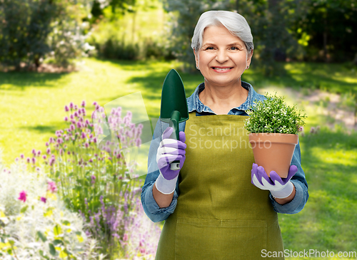 Image of old woman in garden apron with flower and trowel