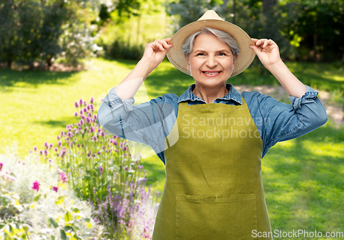 Image of portrait of smiling senior woman in garden apron