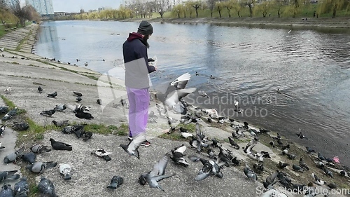 Image of Man feeding pigeons in the old town near the canal.