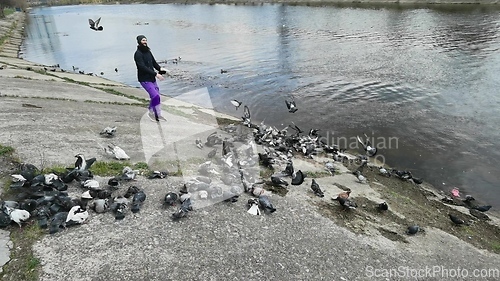 Image of Man feeding pigeons in the old town near the canal.