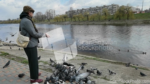 Image of Man feeding pigeons in the old town near the canal.