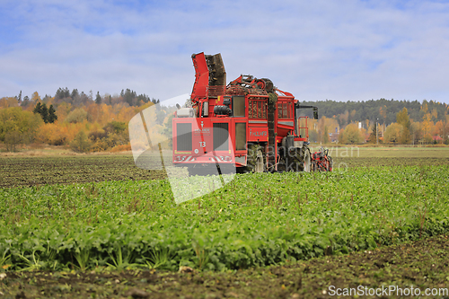 Image of Holmer Terra Dos T3 Beet Harvester at Work in Field