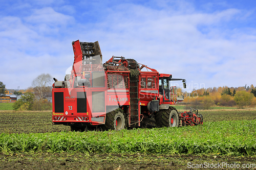 Image of Holmer Terra Dos T3 Beet Harvester Working in Sugar Beet Field