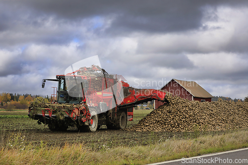 Image of Unloading Sugar Beet off Holmer Terra Dos T3 Beet Harvester