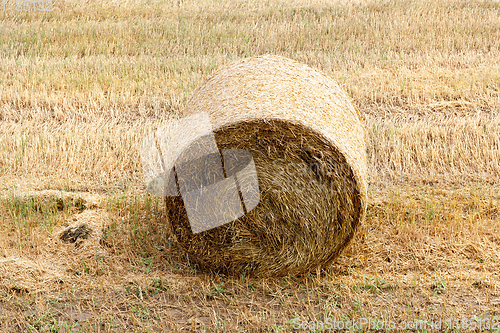 Image of cylindrical shape of straw stacks