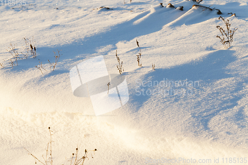 Image of Photo of snow, close-up