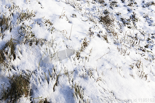 Image of snow covered grass