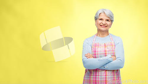 Image of portrait of smiling senior woman in apron