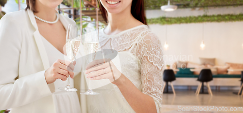 Image of close up of female gay couple with champagne