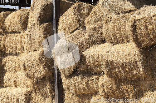 Image of square stacks of straw