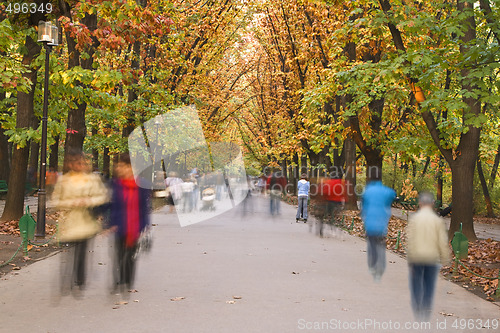 Image of Autumn walk