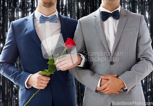 Image of close up of male gay couple with wedding rings on