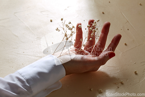 Image of hand with dried baby's breath flowers in cuff