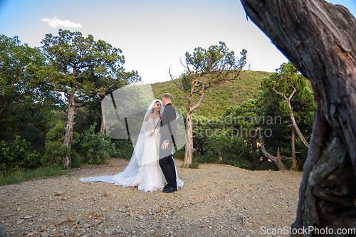 Image of Beautiful interracial wedding couple walking in the old forest