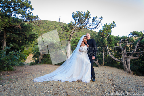 Image of Beautiful interracial wedding couple hugging and looking into the frame on the background of the old forest and mountains