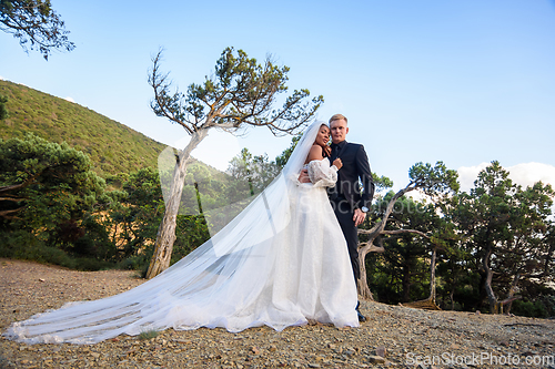Image of The bride in a long white dress and the groom in a suit stand against the backdrop of an old forest and mountains.