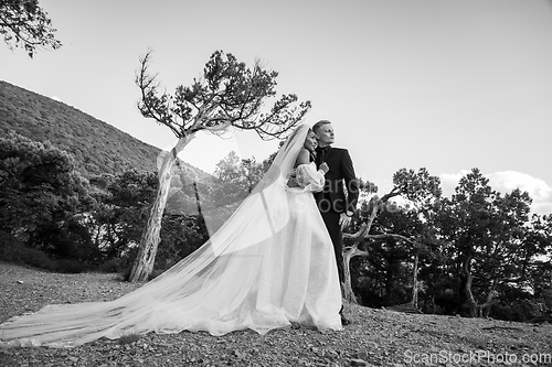 Image of The bride in a long white dress and the groom in a suit are standing against the backdrop of an old forest and mountains, black and white version