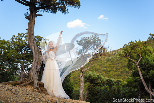 Image of A black bride in a white dress with a flowing veil against the backdrop of an old forest and mountains