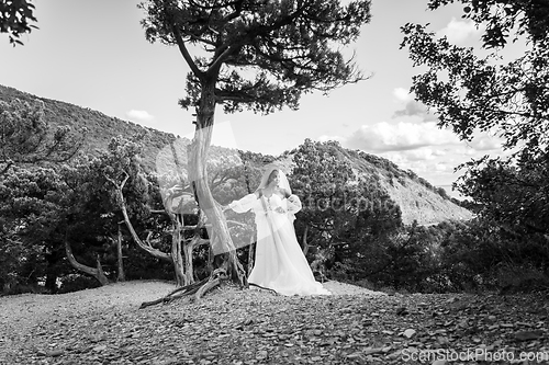 Image of A black bride in a white dress stands near an old tree against the backdrop of mountains, black and white version