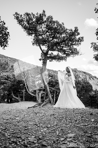 Image of A black bride in a white dress with a flowing veil walks through the old forest, black and white version