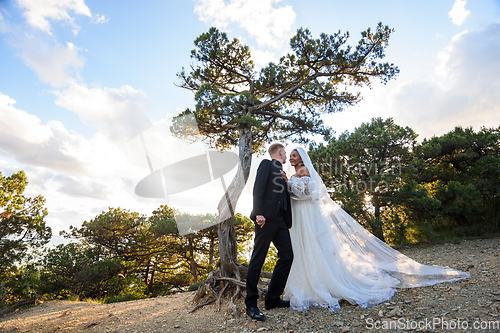 Image of Interracial newlyweds hugging near an old tree in a sunny forest